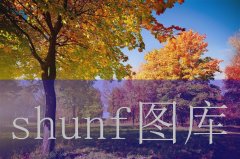 《国内卖外烟的销售渠道》外烟购